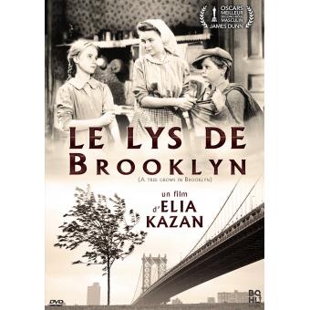 Le Lys de Brooklyn DVD