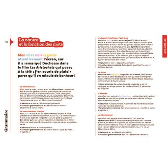 Petit manuel à l usage de ceux qui doutent - Littérature, orthographe, grammaire, conjugaison