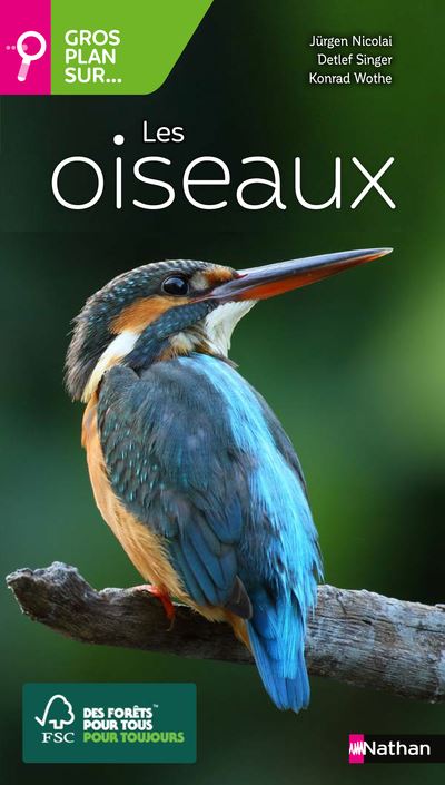 Les oiseaux - Jürgen Nicolai - broché