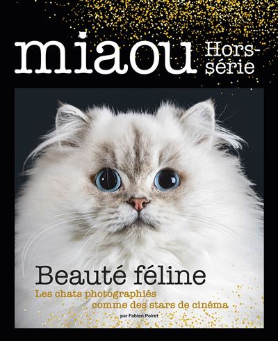 Miaou HS n°2 - spécial fêtes