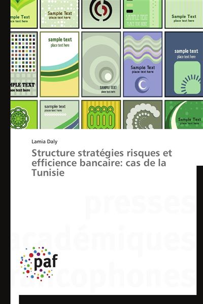Structure stratégies risques et efficience bancaire : cas de la Tunisie