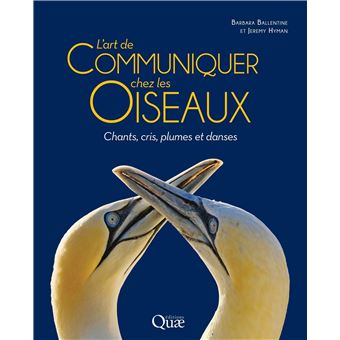 L'art de communiquer chez les oiseaux