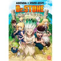 Agenda scolaire 2020/2021 Dr Stone