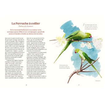 Les oiseaux de nos jardins & leur vie secrète