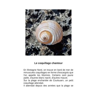 La marinière qui louchait