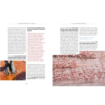 Les grands mystères de la nature