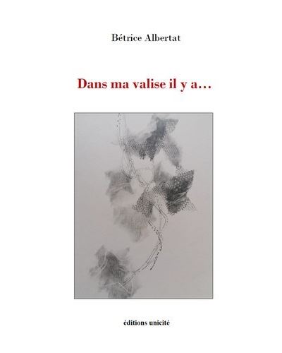 Dans ma valise il y a…