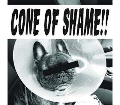CONE OF SHAME/LP
