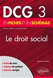 DCG 3 - Le Droit social en fiches et en schémas