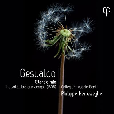 Silenzio Moi / Il Quarto Libro Di Madrigali