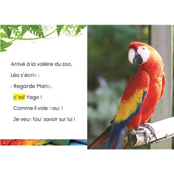 Premières lectures Une saison au zoo  3 histoires à lire CP niv 2