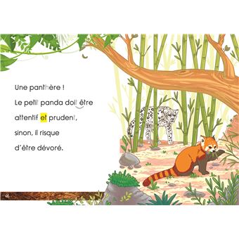 Premières lectures Une saison au zoo  3 histoires à lire CP niv 2