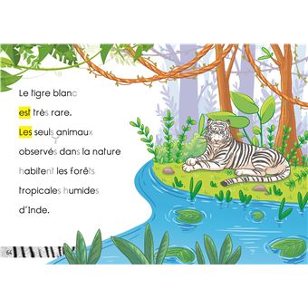 Premières lectures Une saison au zoo  3 histoires à lire CP niv 2