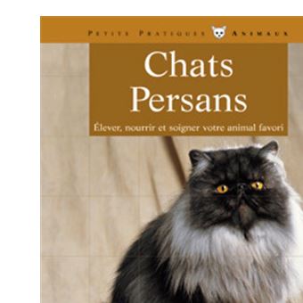 Chats persans - 1