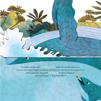 Contes de la nature - Pirouettes dans les fonds marin 3/5 ans