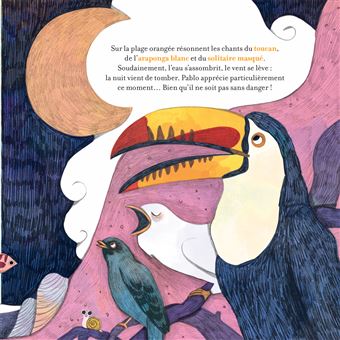 Contes de la nature - Pirouettes dans les fonds marin 3/5 ans