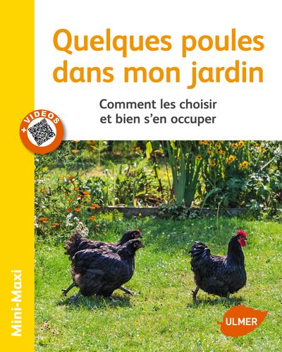 Comment Bien S Occuper D Une Poule Poule De Compagnie Comment Bien S En Occuper Soigner Son Animal