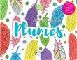 Plumes