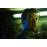 The StrainThe Strain - Seizoen 1_5