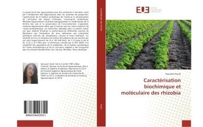 Caracterisation biochimique et moleculaire des rhizobia