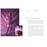 Inspirations_2