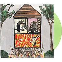 Long Term Effects Of Suffering Vinyle Vert