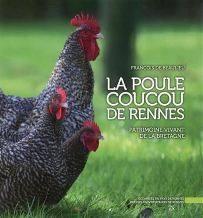 La poule coucou de Rennes