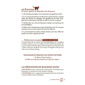 L'Histoire vue par un chat