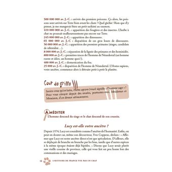 L'Histoire vue par un chat