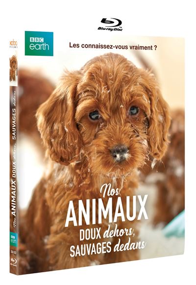 Nos animaux, doux dehors, sauvages dedans Blu-ray