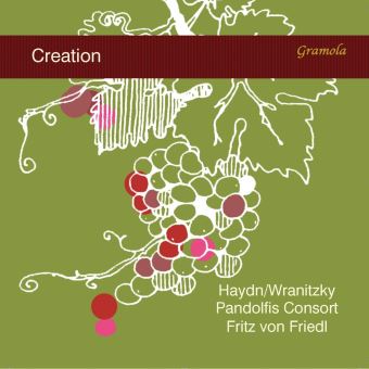 Die Schopfung Transcription pour quintette à cordes