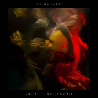 Until the quiet comes - 180 gr - Inclus coupon MP3