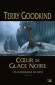 Les Chroniques de Nicci, T4 : Coeur de glace noire