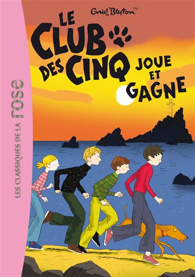 Le Club des Cinq : c'est toi le héros : Enid Blyton - 2017873241 - Romans  pour enfants dès 9 ans - Livres pour enfants dès 9 ans