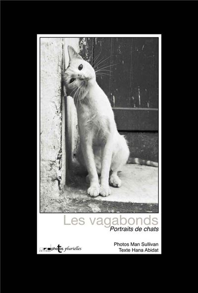 Chats vagabonds : portraits de chats