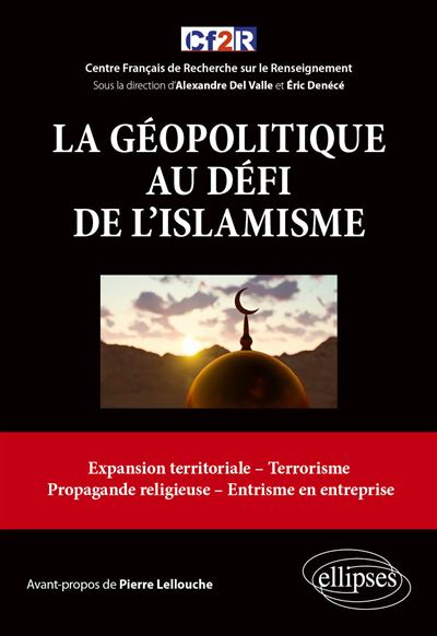 La géopolitique au défi de l'islamisme - Alexandre Del Valle - broché