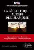La géopolitique au défi de l'islamisme