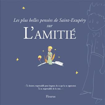 Les Plus Belles Pensees D Antoine De Saint Exupery Sur L Amitie Broche Antoine De Saint Exupery Livre Tous Les Livres A La Fnac