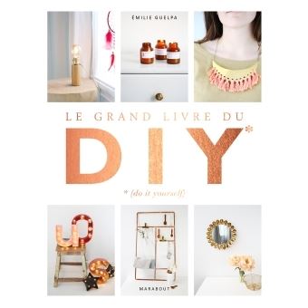 Le grand livre des DIY* *(Do it yourself)