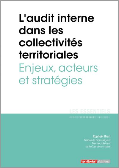 L’audit interne dans les collectivités territoriales - Enjeux, acteurs et stratégies
