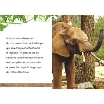 Premières lectures Une saison au zoo 2 histoires pour lire en CE1