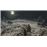 Sekiro Shadows Die Twice PS4_4