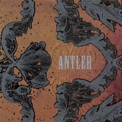 Antler