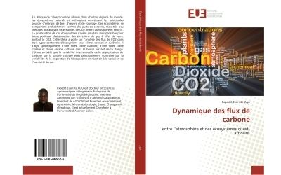 Dynamique des flux de carbone