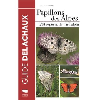 Papillons des Alpes