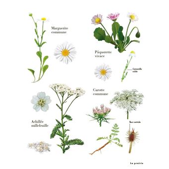 Le Petit Guide des explorateurs de la nature