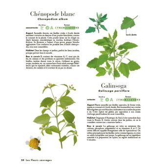 Le Petit Guide des explorateurs de la nature