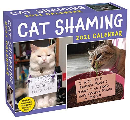 BOXED 21 CAT SHAMING AMP