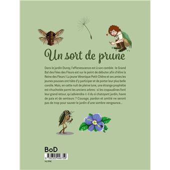 Un sort de prune
