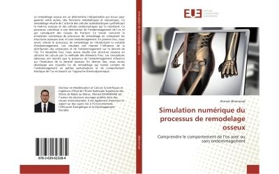 Simulation numerique du processus de remodelàge osseux